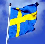 Celebrate Sweden’s National Day with us!