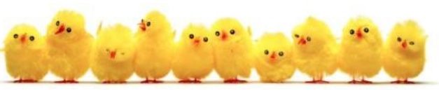 Swedish Club Night  – Glad Pask (Happy Easter)